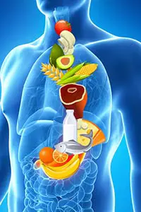 Pediatric nutrition and dietary care