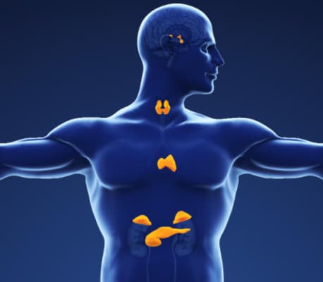 Pediatric endocrinology hormonal disorder treatment