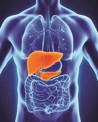 Pediatric gastroenterology services for children