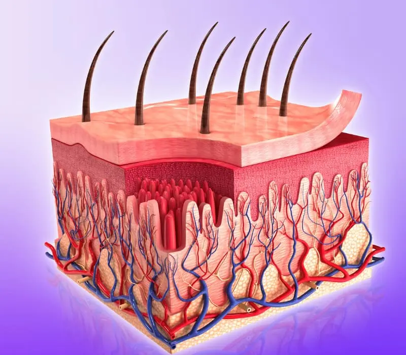 Pediatric skin disease treatment and dermatology